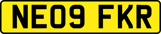 NE09FKR