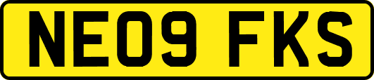 NE09FKS