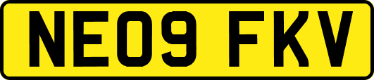NE09FKV