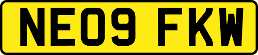 NE09FKW