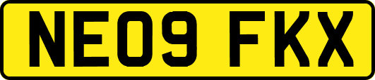 NE09FKX