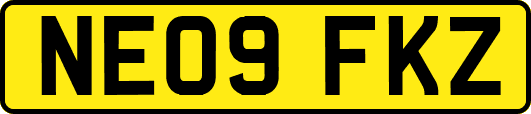 NE09FKZ
