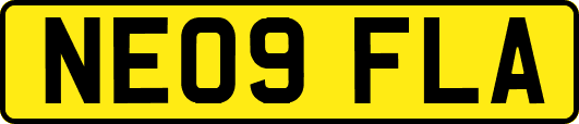 NE09FLA
