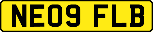 NE09FLB