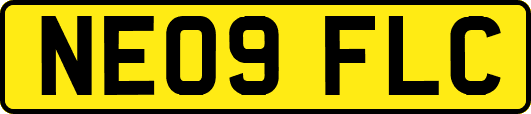 NE09FLC