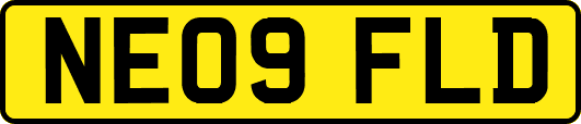 NE09FLD
