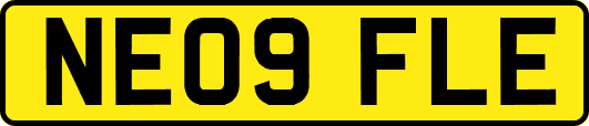 NE09FLE