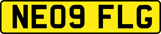 NE09FLG