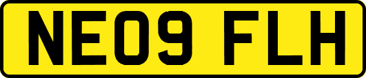 NE09FLH