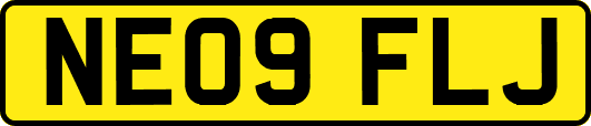 NE09FLJ