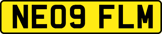 NE09FLM
