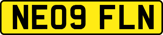 NE09FLN