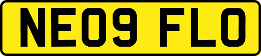 NE09FLO