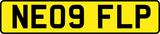 NE09FLP