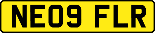NE09FLR