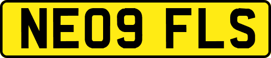 NE09FLS