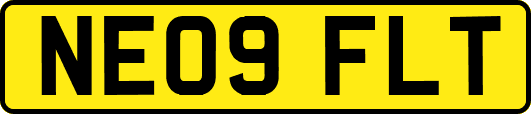 NE09FLT