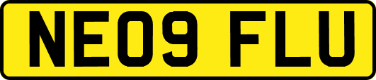 NE09FLU