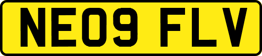 NE09FLV