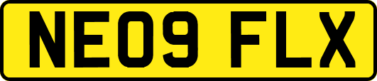 NE09FLX