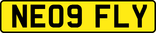 NE09FLY