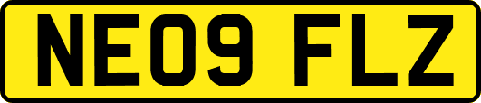NE09FLZ