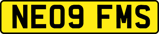 NE09FMS