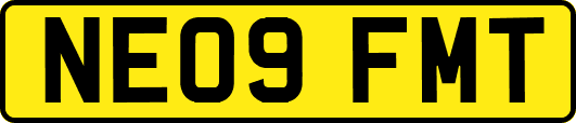 NE09FMT