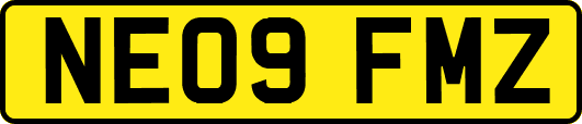 NE09FMZ