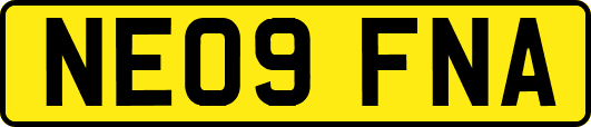 NE09FNA