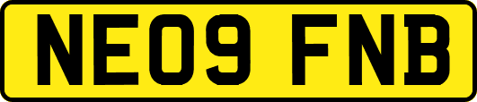 NE09FNB
