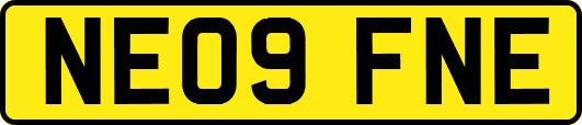 NE09FNE
