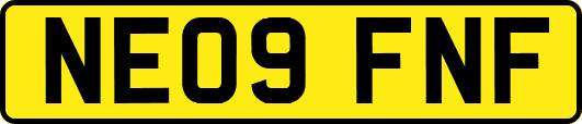NE09FNF