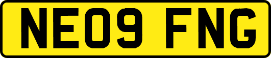NE09FNG
