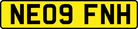 NE09FNH