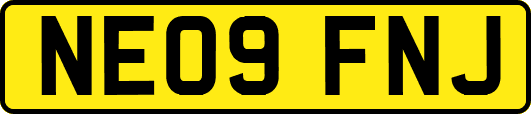 NE09FNJ