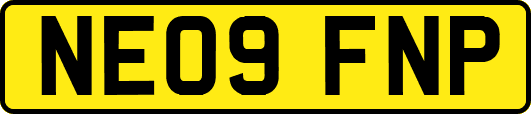 NE09FNP
