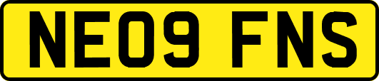 NE09FNS