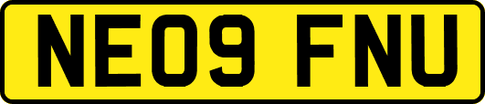 NE09FNU