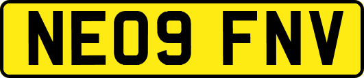 NE09FNV