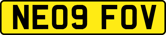 NE09FOV