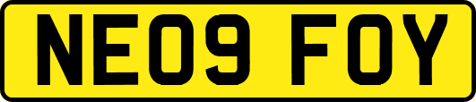 NE09FOY
