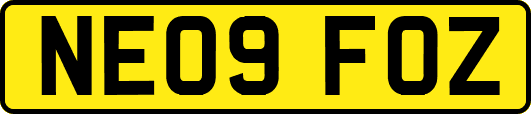 NE09FOZ