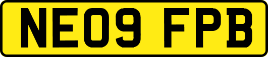 NE09FPB