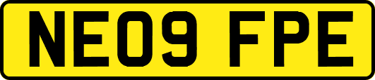 NE09FPE