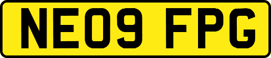 NE09FPG