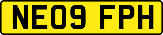 NE09FPH