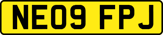 NE09FPJ