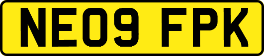 NE09FPK