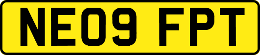 NE09FPT